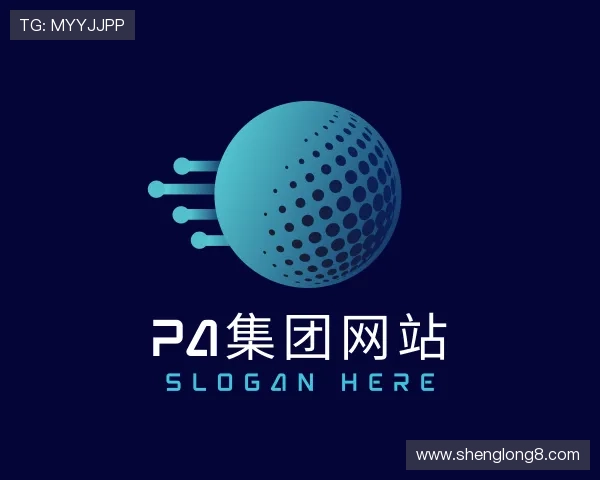 发现PA集团